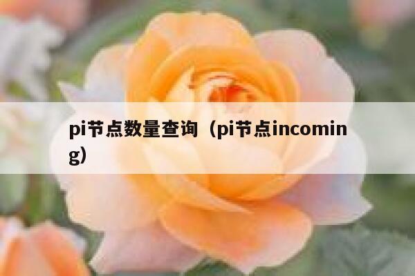 pi节点数量查询（pi节点incoming） 第1张