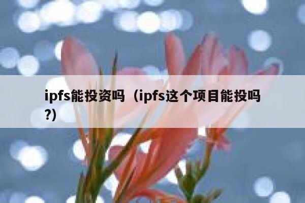 ipfs能投资吗（ipfs这个项目能投吗?） 第1张