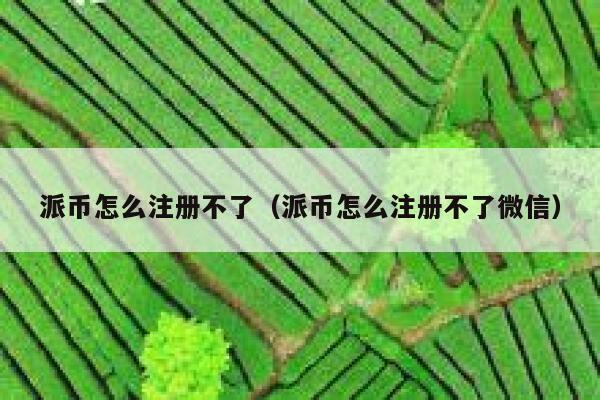 派币怎么注册不了（派币怎么注册不了微信） 第1张