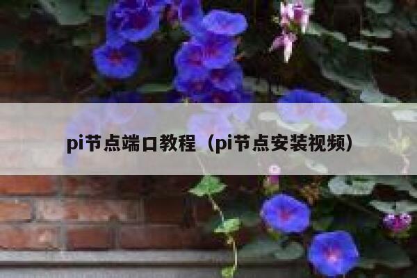 pi节点端口教程(pi节点安装视频) 第1张 pi节点端口教程(pi节点安装视频) 第1张