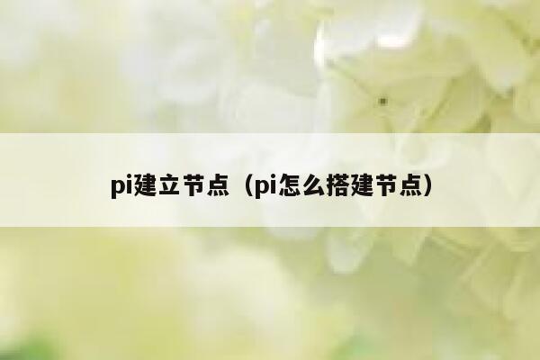 pi建立节点（pi怎么搭建节点） 第1张