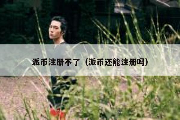 派币注册不了(派币还能注册吗) 第1张 派币注册不了(派币还能注册吗) 第1张