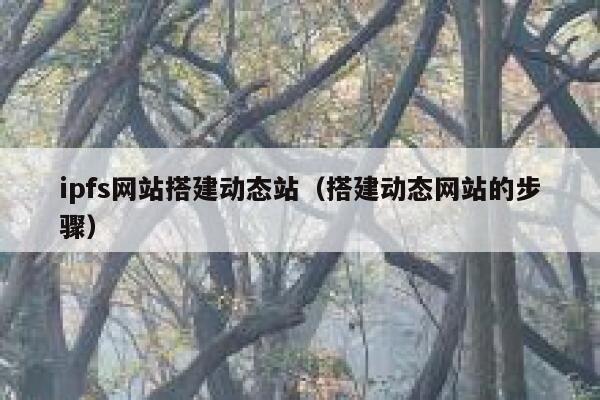 ipfs网站搭建动态站(搭建动态网站的步骤) 第1张 ipfs网站搭建动态站(搭建动态网站的步骤) 第1张