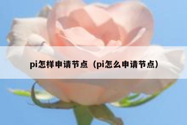 pi怎样申请节点（pi怎么申请节点） 第1张
