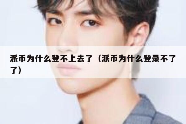 派币为什么登不上去了（派币为什么登录不了了） 第1张