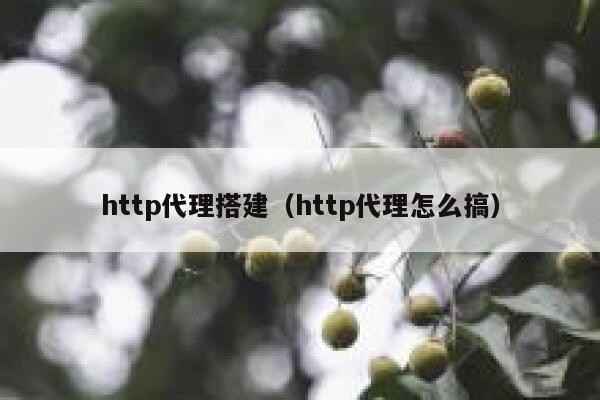 http代理搭建(http代理怎么搞) 第1张 http代理搭建(http代理怎么搞) 第1张