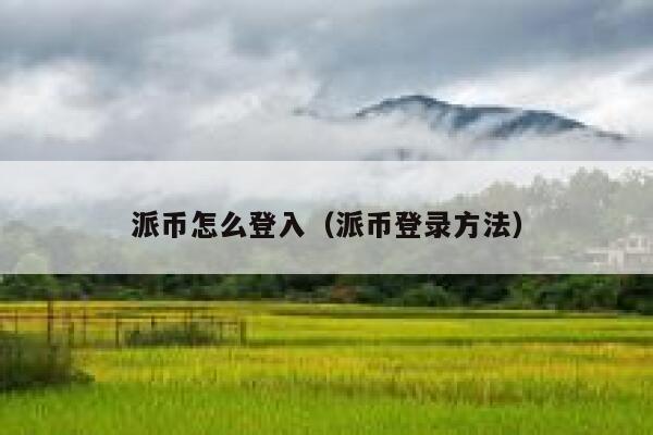派币怎么登入（派币登录方法） 第1张