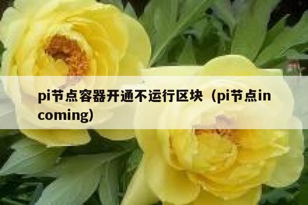 pi节点容器开通不运行区块（pi节点incoming） 第1张