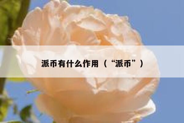 派币有什么作用(“派币”) 第1张 派币有什么作用(“派币”) 第1张