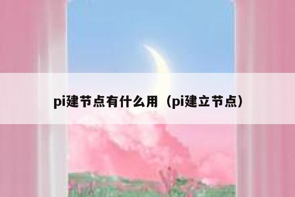 pi建节点有什么用(pi建立节点) 第1张 pi建节点有什么用(pi建立节点) 第1张
