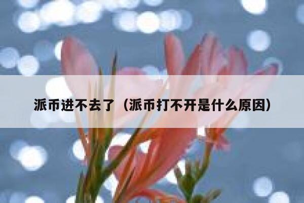 派币进不去了（派币打不开是什么原因） 第1张