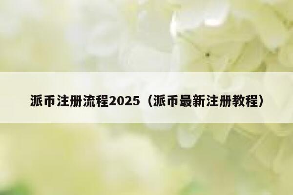 派币注册流程2025（派币最新注册教程） 第1张