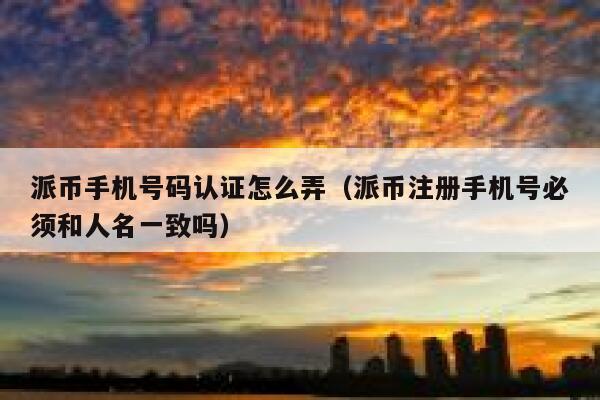 派币手机号码认证怎么弄（派币注册手机号必须和人名一致吗） 第1张