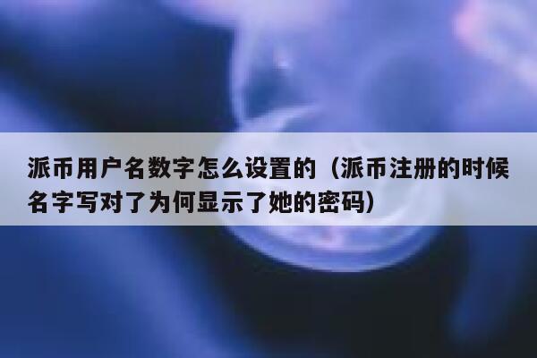 派币用户名数字怎么设置的（派币注册的时候名字写对了为何显示了她的密码） 第1张