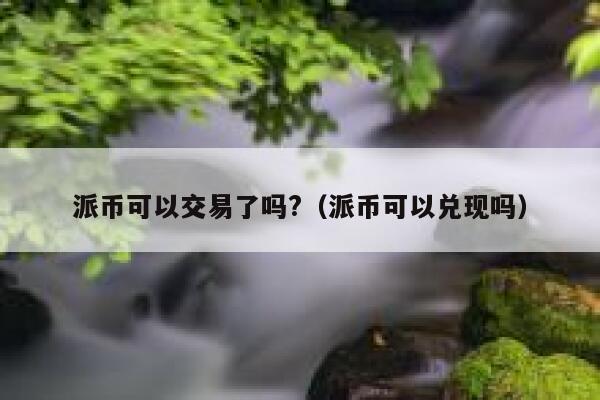 派币可以交易了吗?（派币可以兑现吗） 第1张