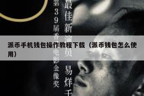 派币手机钱包操作教程下载（派币钱包怎么使用） 第1张