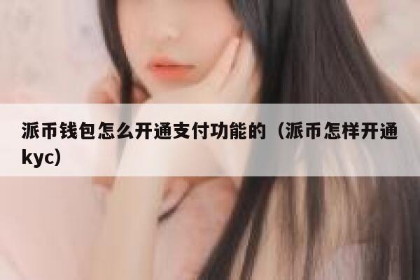 派币钱包怎么开通支付功能的（派币怎样开通kyc） 第1张