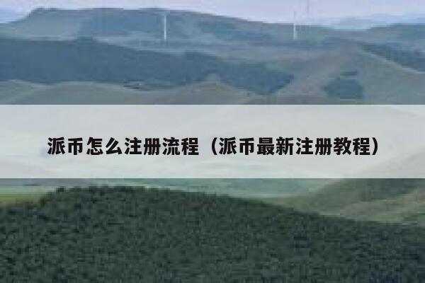 派币怎么注册流程(派币最新注册教程) 第1张 派币怎么注册流程(派币最新注册教程) 第1张