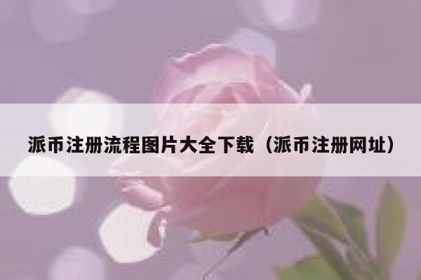 派币注册流程图片大全下载（派币注册网址） 第1张