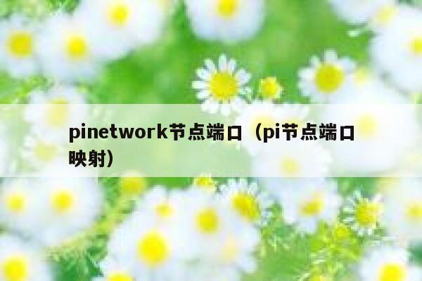 pinetwork节点端口(pi节点端口映射) 第1张 pinetwork节点端口(pi节点端口映射) 第1张