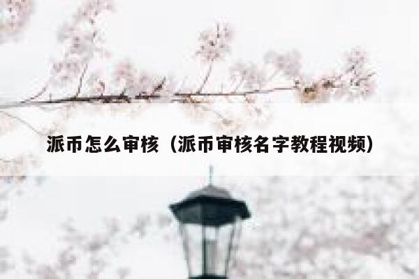 派币怎么审核(派币审核名字教程视频) 第1张 派币怎么审核(派币审核名字教程视频) 第1张