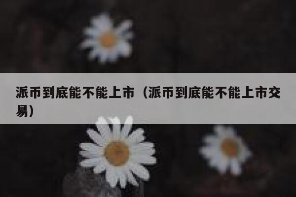 派币到底能不能上市（派币到底能不能上市交易） 第1张