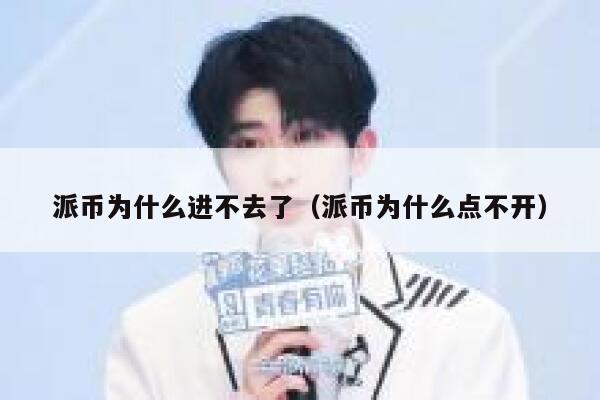 派币为什么进不去了(派币为什么点不开) 第1张 派币为什么进不去了(派币为什么点不开) 第1张