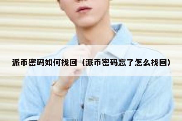 派币密码如何找回（派币密码忘了怎么找回） 第1张