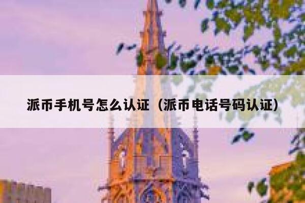 派币手机号怎么认证(派币电话号码认证) 第1张 派币手机号怎么认证(派币电话号码认证) 第1张