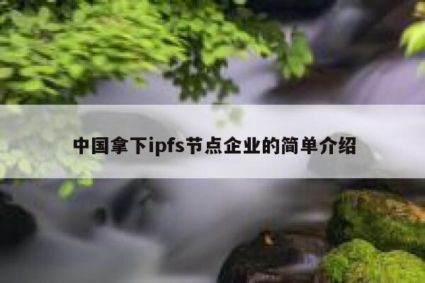 中国拿下ipfs节点企业的简单介绍 第1张
