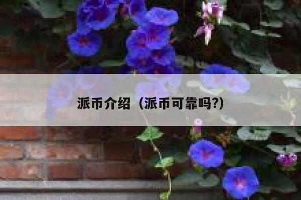 派币介绍(派币可靠吗?) 第1张 派币介绍(派币可靠吗?) 第1张