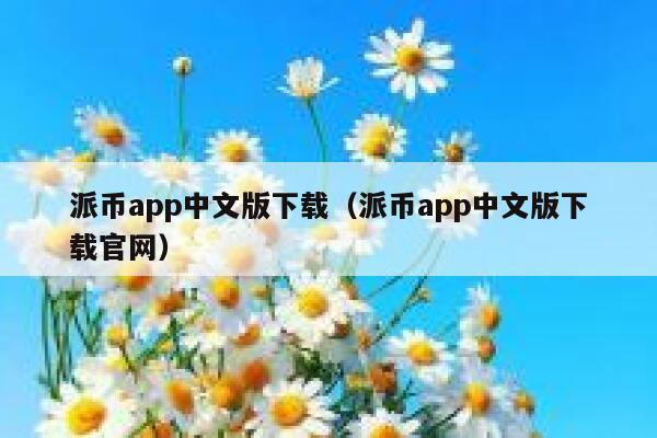 派币app中文版下载（派币app中文版下载官网） 第1张