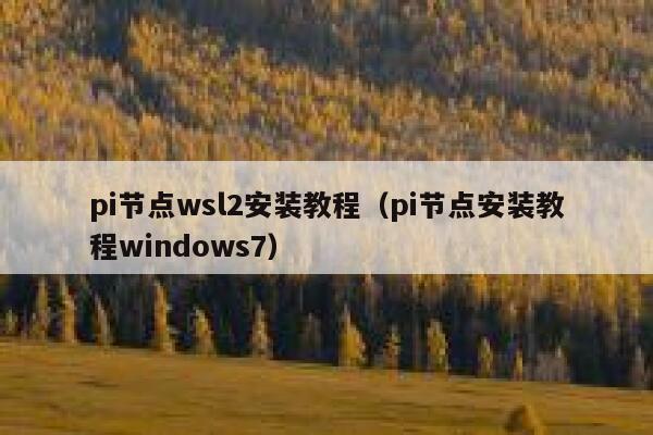 pi节点wsl2安装教程（pi节点安装教程windows7） 第1张