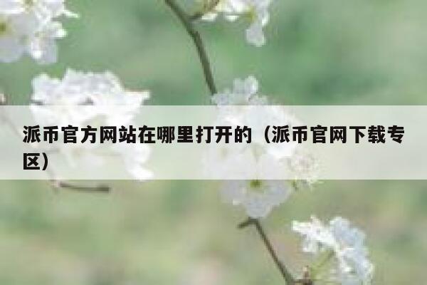 派币官方网站在哪里打开的（派币官网下载专区） 第1张