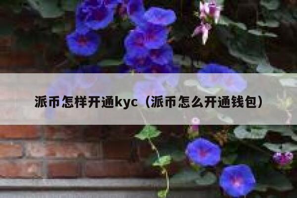 派币怎样开通kyc(派币怎么开通钱包) 第1张 派币怎样开通kyc(派币怎么开通钱包) 第1张