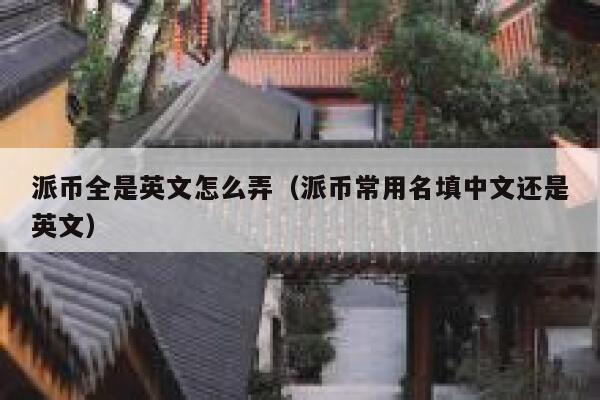 派币全是英文怎么弄（派币常用名填中文还是英文） 第1张