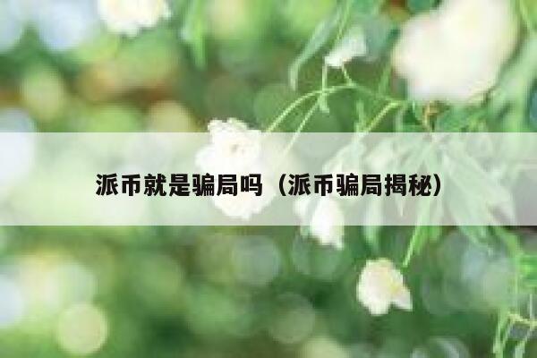 派币就是骗局吗（派币骗局揭秘） 第1张