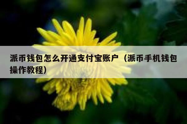 派币钱包怎么开通支付宝账户（派币手机钱包操作教程） 第1张