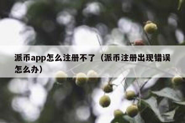 派币app怎么注册不了（派币注册出现错误怎么办） 第1张