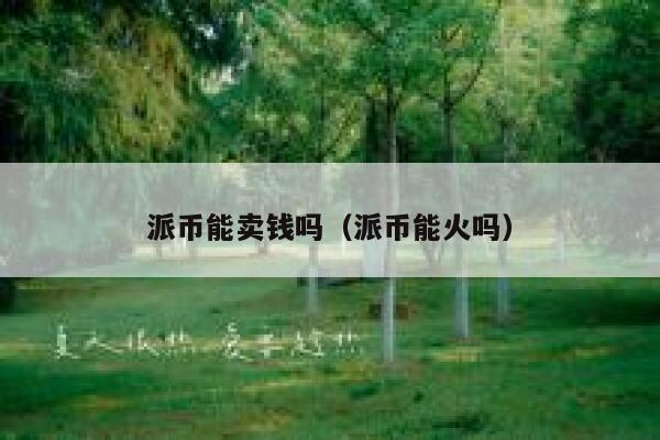 派币能卖钱吗（派币能火吗） 第1张