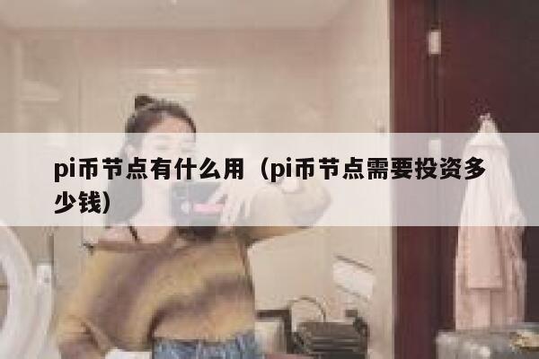 pi币节点有什么用（pi币节点需要投资多少钱） 第1张