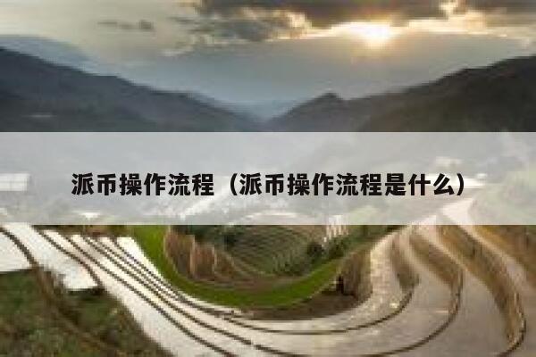 派币操作流程（派币操作流程是什么） 第1张