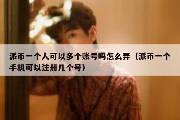 派币一个人可以多个账号吗怎么弄（派币一个手机可以注册几个号） 第1张