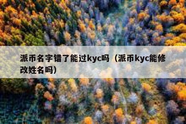 派币名字错了能过kyc吗（派币kyc能修改姓名吗） 第1张