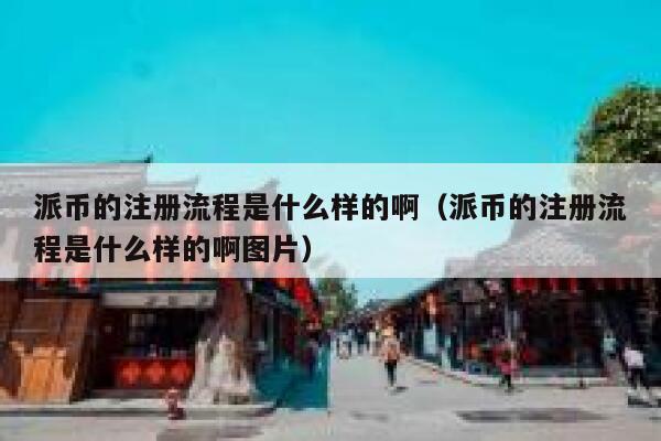 派币的注册流程是什么样的啊（派币的注册流程是什么样的啊图片） 第1张