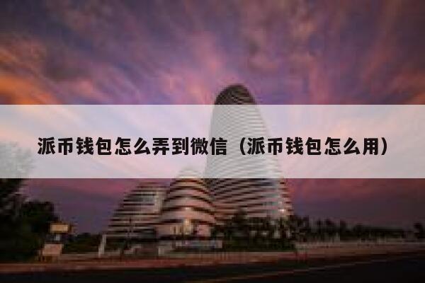 派币钱包怎么弄到微信（派币钱包怎么用） 第1张