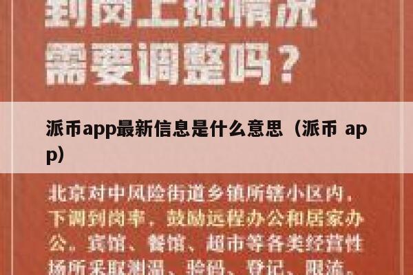 派币app最新信息是什么意思（派币 app） 第1张