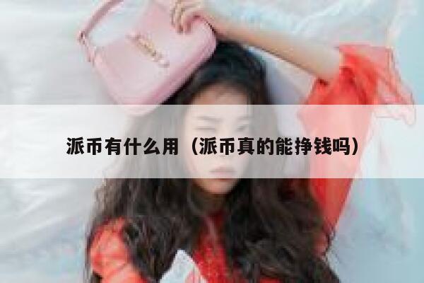 派币有什么用（派币真的能挣钱吗） 第1张