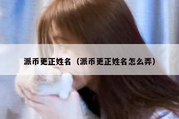 派币更正姓名（派币更正姓名怎么弄） 第1张