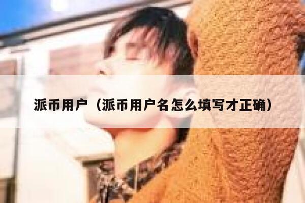 派币用户（派币用户名怎么填写才正确） 第1张